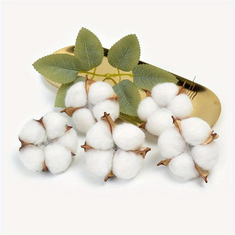 10Pcs White Cotton Florist Sup - Florist Wreath Supply 评论和价格