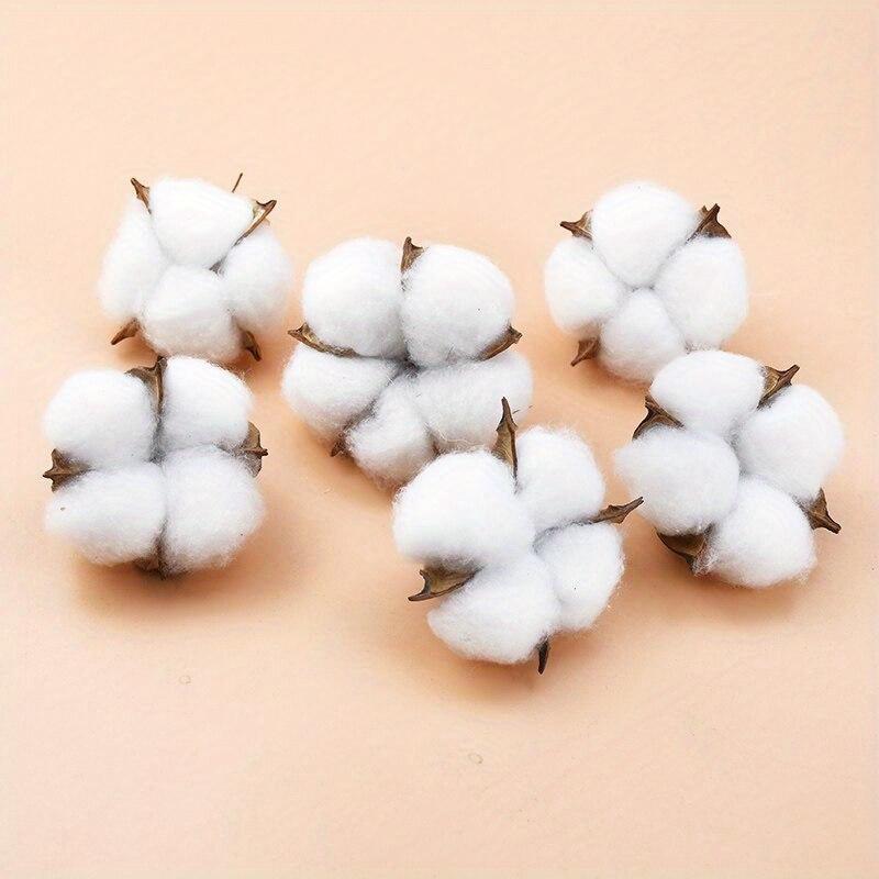10Pcs White Cotton Florist Sup - Florist Wreath Supply 评论和价格